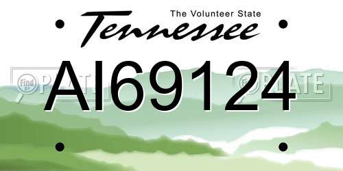 AI69124 Tennessee License Plate