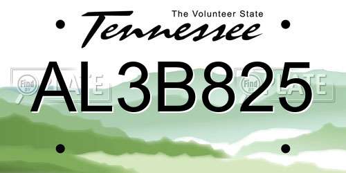 AL3B825 Tennessee License Plate