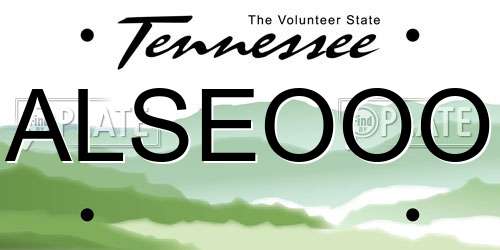 ALSEOOO Tennessee License Plate