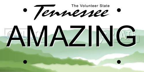 AMAZING Tennessee License Plate