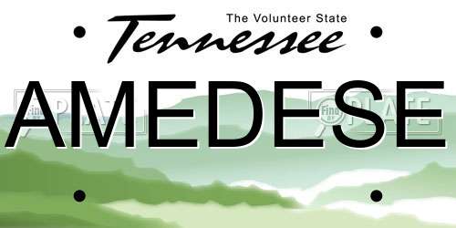 AMEDESE Tennessee License Plate