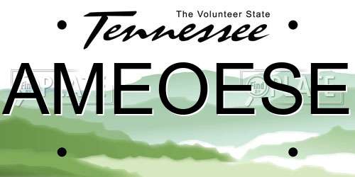 AMEOESE Tennessee License Plate