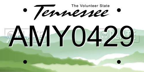 AMY0429 Tennessee License Plate
