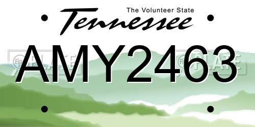 AMY2463 Tennessee License Plate
