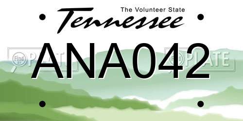 ANA042 Tennessee License Plate
