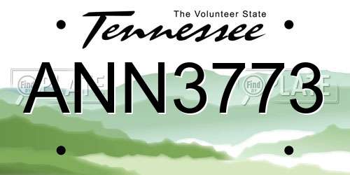ANN3773 Tennessee License Plate