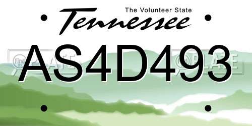 AS4D493 Tennessee License Plate