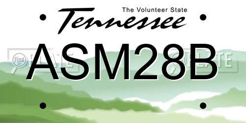 ASM28B Tennessee License Plate