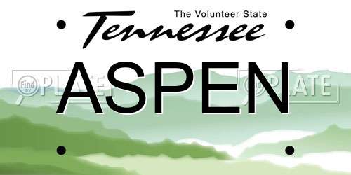ASPEN Tennessee License Plate