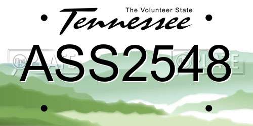 ASS2548 Tennessee License Plate