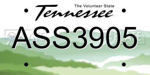 ASS3905 Tennessee License Plate