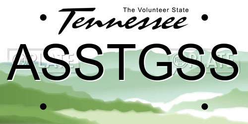 ASSTGSS Tennessee License Plate