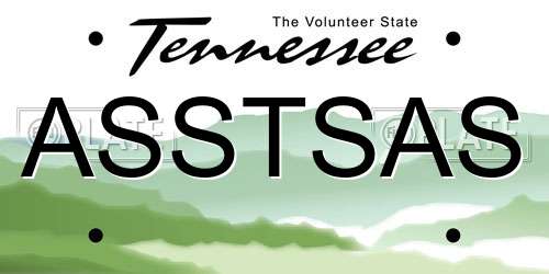 ASSTSAS Tennessee License Plate