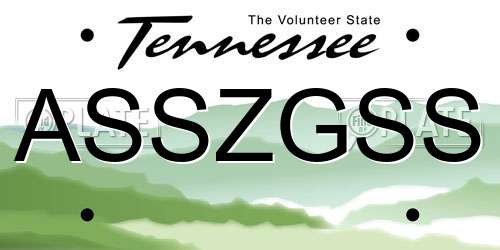 ASSZGSS Tennessee License Plate