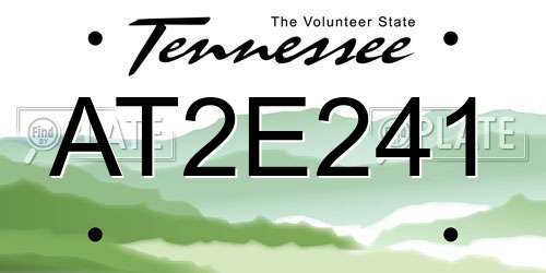 AT2E241 Tennessee License Plate