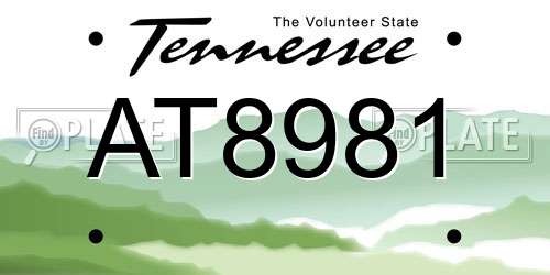 AT8981 Tennessee License Plate