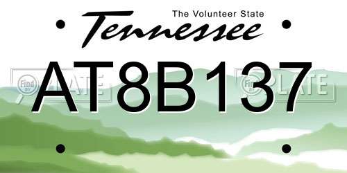 AT8B137 Tennessee License Plate