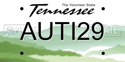 AUTI29 Tennessee License Plate