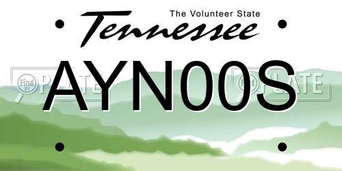 AYN00S Tennessee License Plate