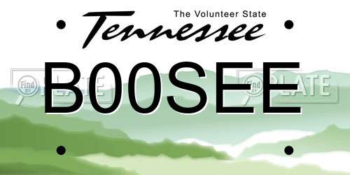 B00SEE Tennessee License Plate