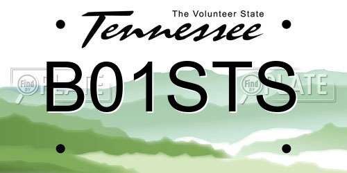 B01STS Tennessee License Plate