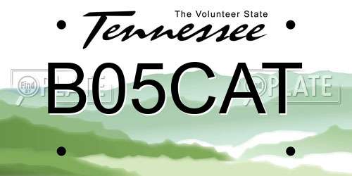 B05CAT Tennessee License Plate