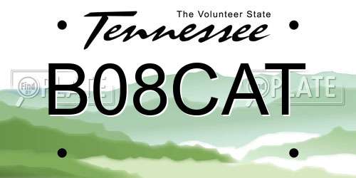 B08CAT Tennessee License Plate