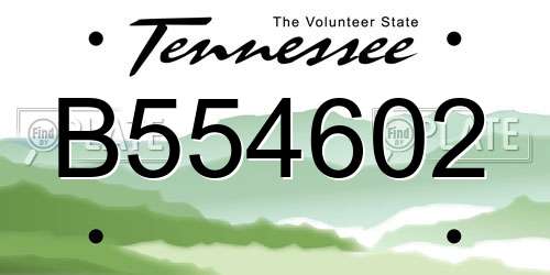 B554602 Tennessee License Plate