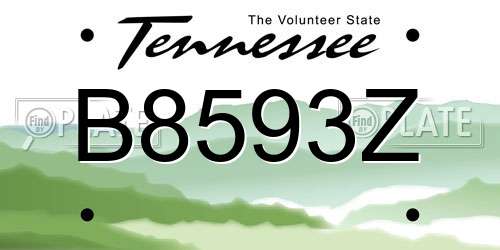 B8593Z Tennessee License Plate