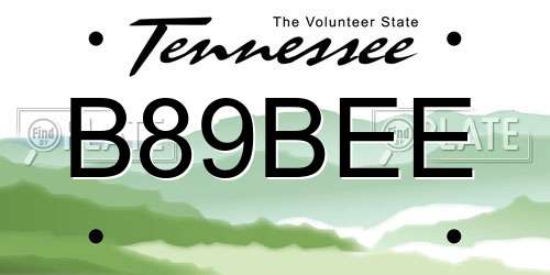 B89BEE Tennessee License Plate