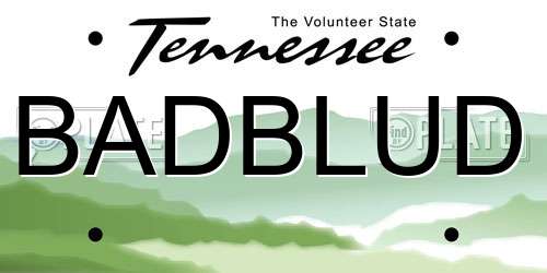BADBLUD Tennessee License Plate