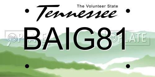 BAIG81 Tennessee License Plate