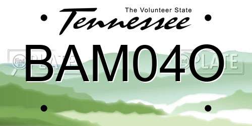 BAM04O Tennessee License Plate