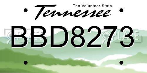 BBD8273 Tennessee License Plate