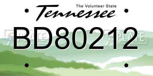 BD80212 Tennessee License Plate
