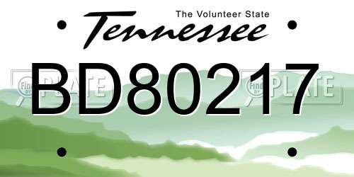 BD80217 Tennessee License Plate