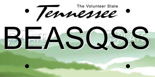 BEASQSS Tennessee License Plate