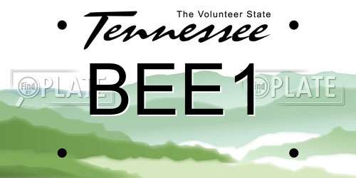 BEE1 Tennessee License Plate