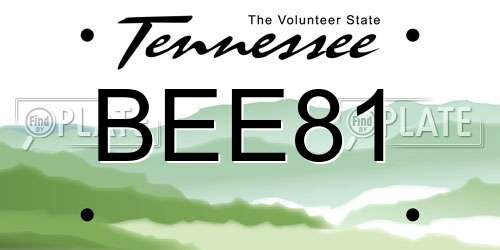 BEE81 Tennessee License Plate