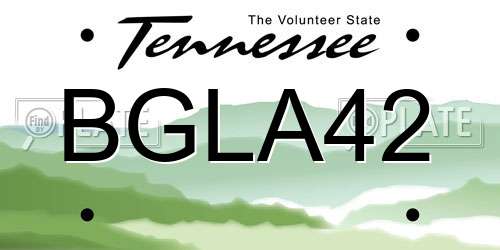 BGLA42 Tennessee License Plate