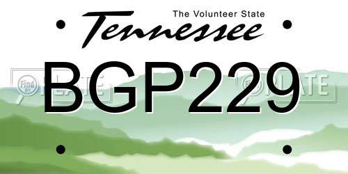BGP229 Tennessee License Plate