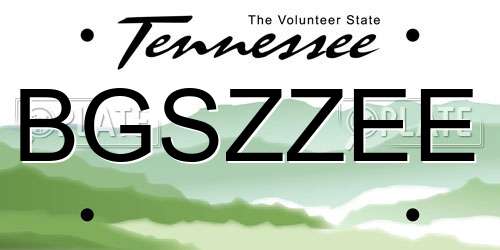 BGSZZEE Tennessee License Plate