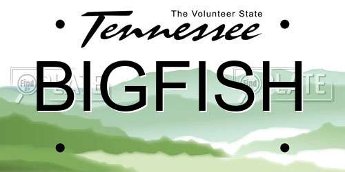 BIGFISH Tennessee License Plate