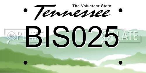 BIS025 Tennessee License Plate