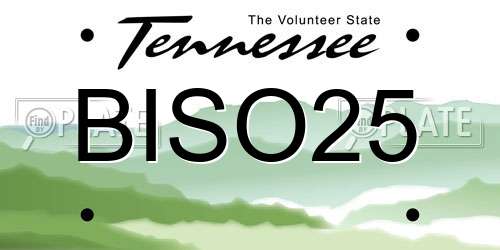 BISO25 Tennessee License Plate