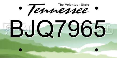 BJQ7965 Tennessee License Plate