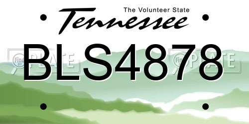 BLS4878 Tennessee License Plate