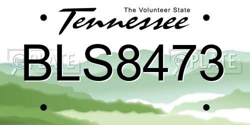 BLS8473 Tennessee License Plate