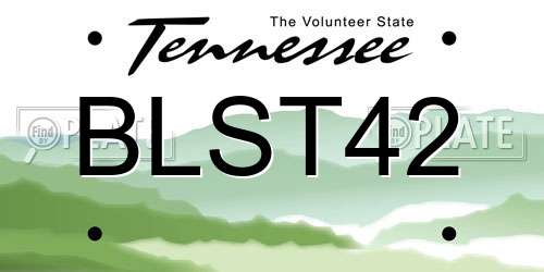 BLST42 Tennessee License Plate