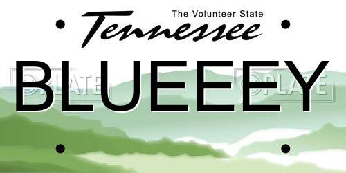 BLUEEEY Tennessee License Plate